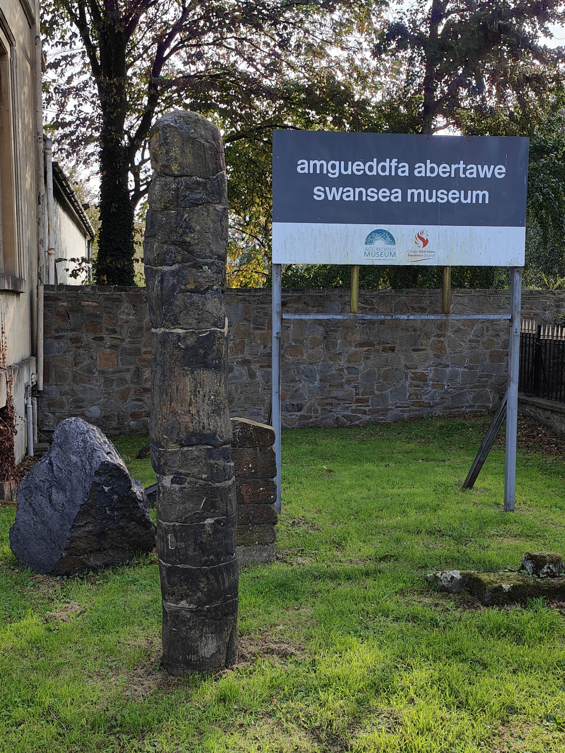 Petrified wood at Swansea Museum