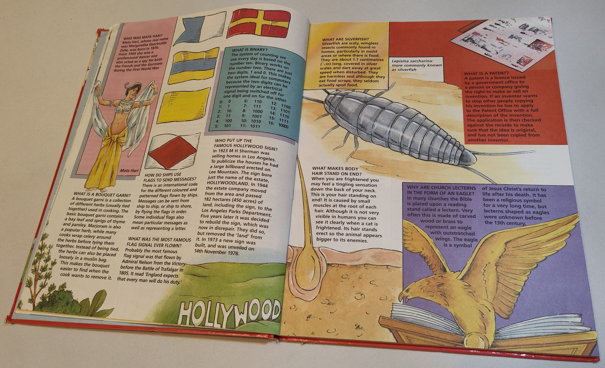 Karen's Bibliotat - '500 Questions and Answers'