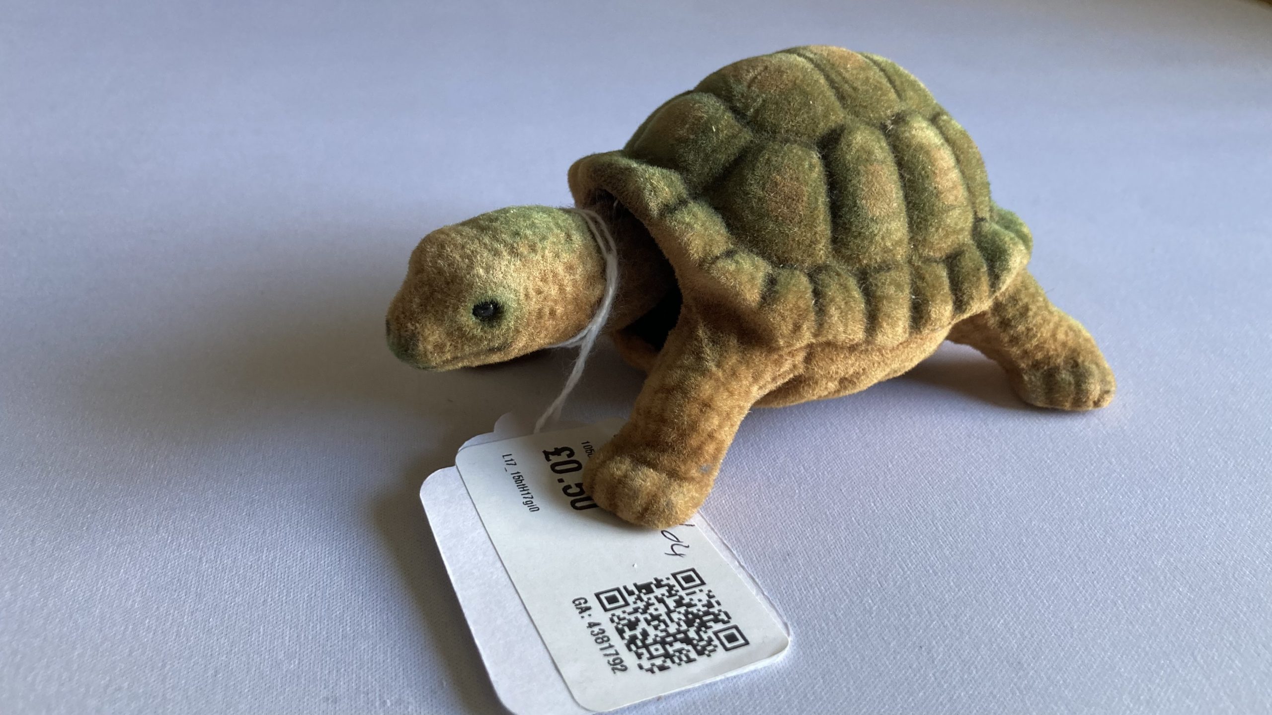 Adam's donation item - a bobblehead, flocked turtle