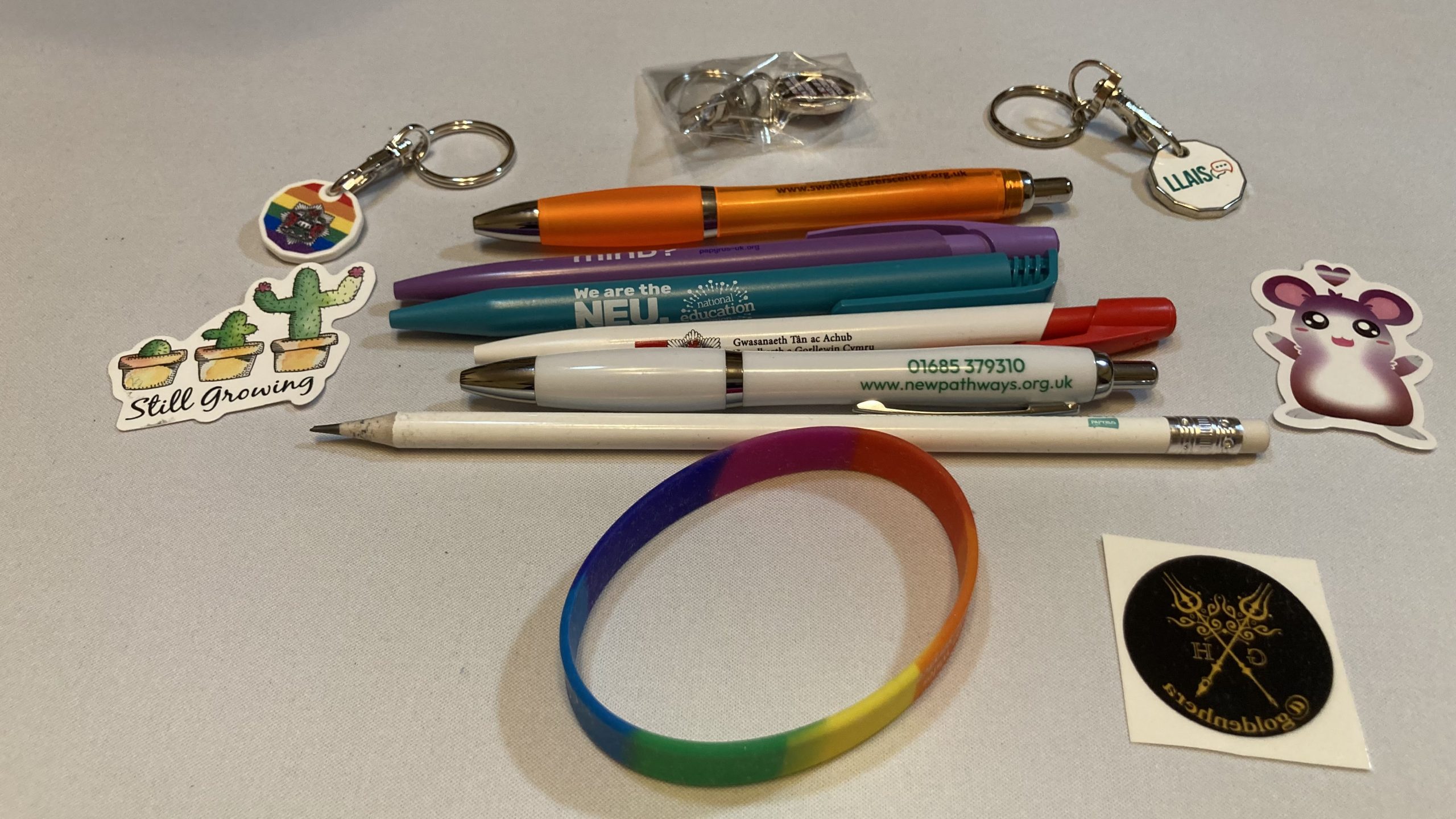 Karen's swag from Swansea Pride