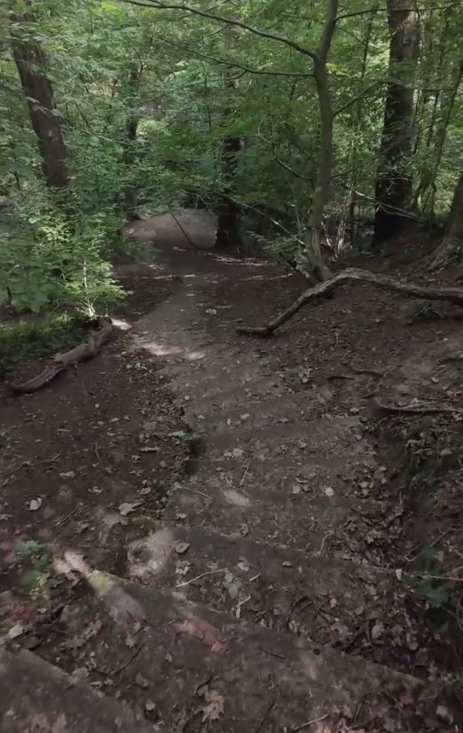 Steps down to the stream at Longford, Neath